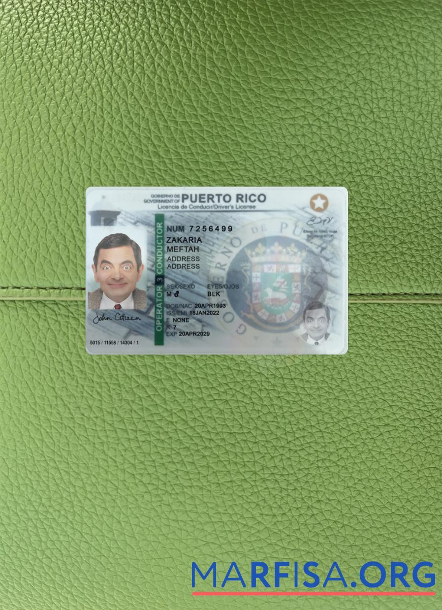 Downloadable Puerto Rico driving license 2022 present photolook sample